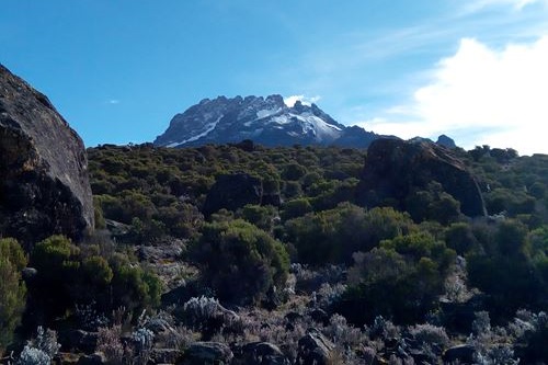 Kilimanjaro Marangu Route Climbing Packages