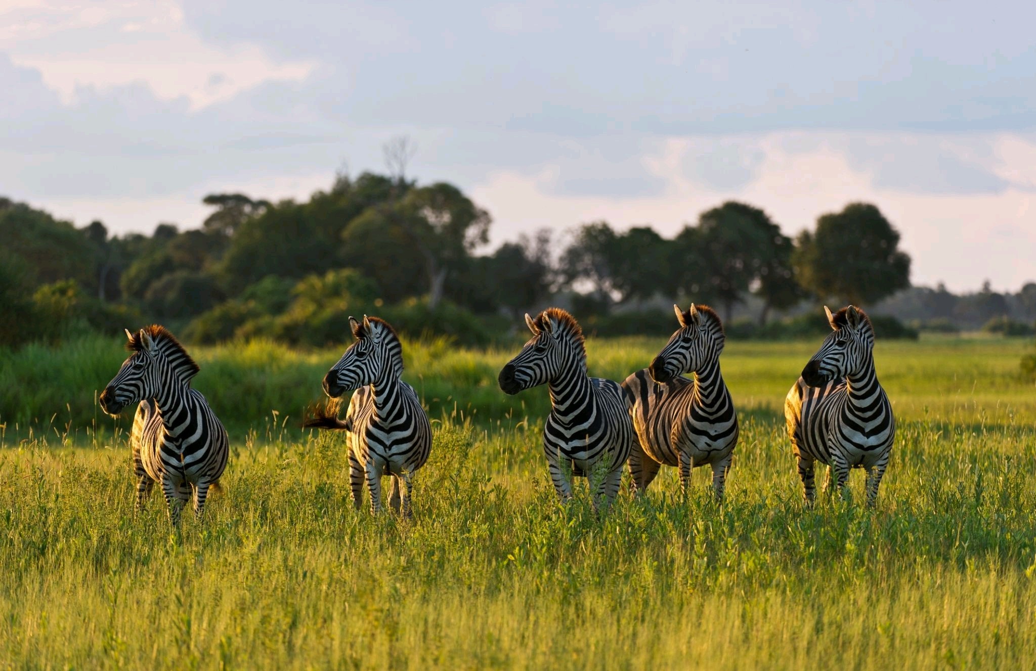 Tanzania Group Joining Luxury Safaris in Africa