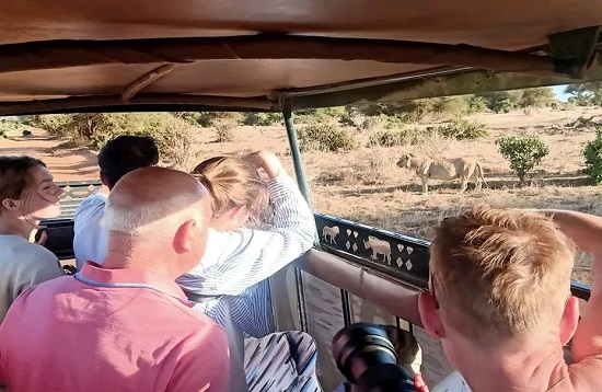 1 Day Tanzania Group Joining Safari Tours