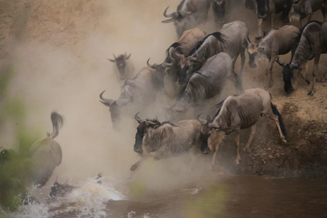 Day 4 · Ngorongoro Crater Game Drive and Return to Arusha
