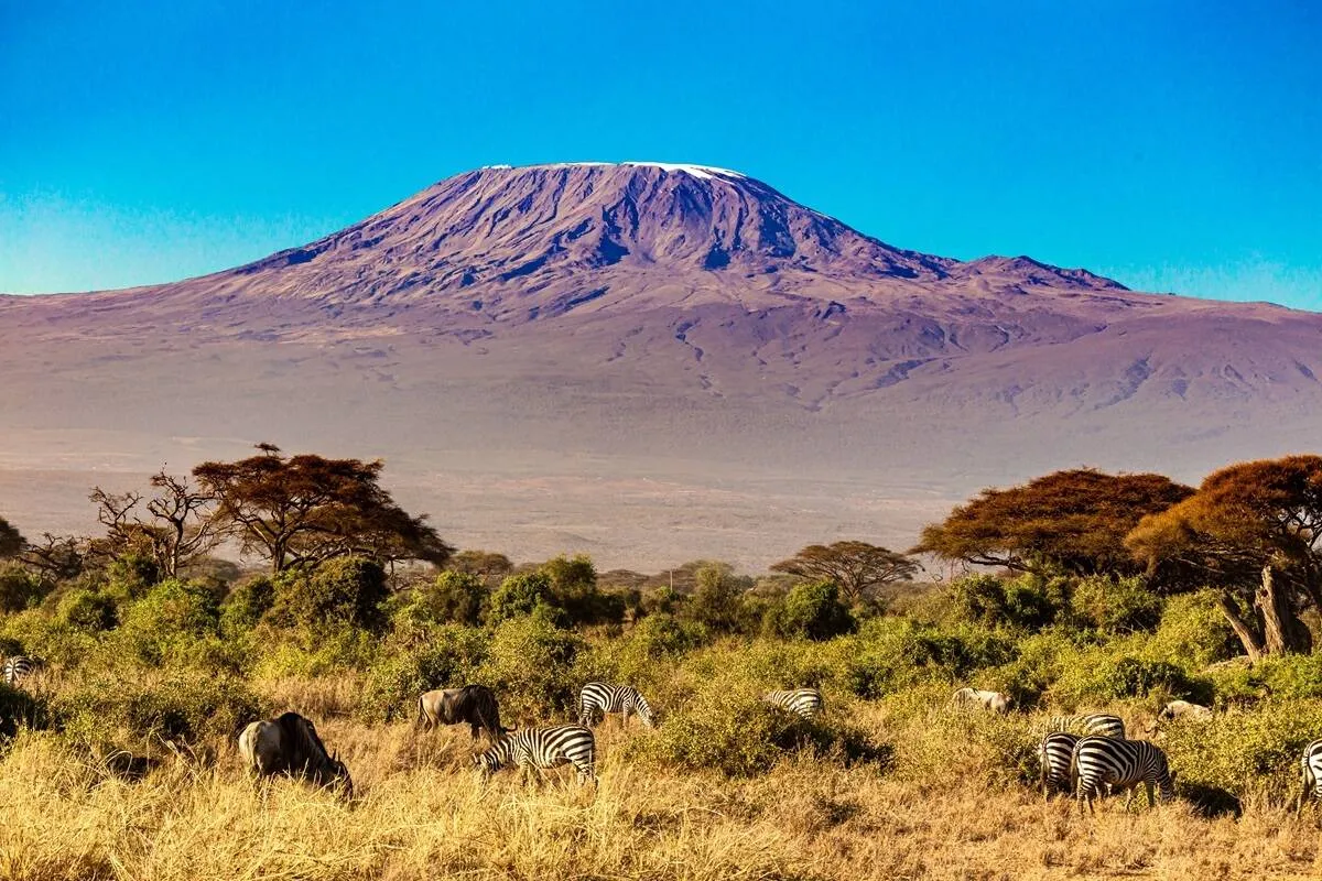 Top 10 Things to Do in Tanzania
