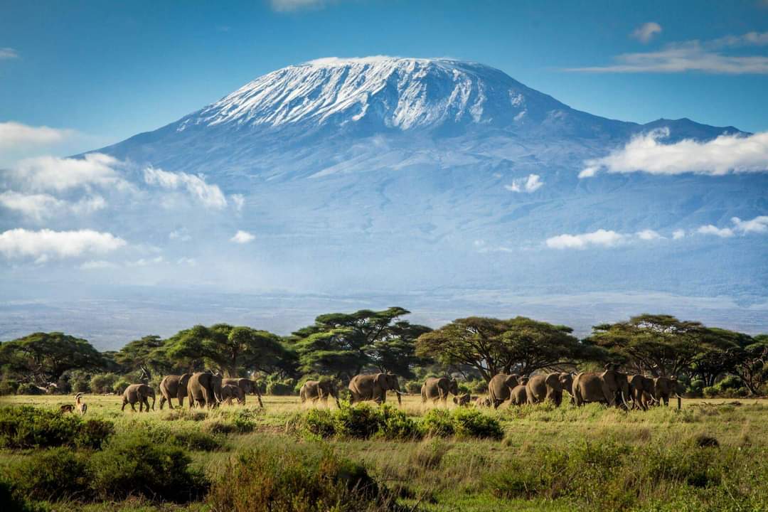 20 Most Visited Tourist Attractions in the World