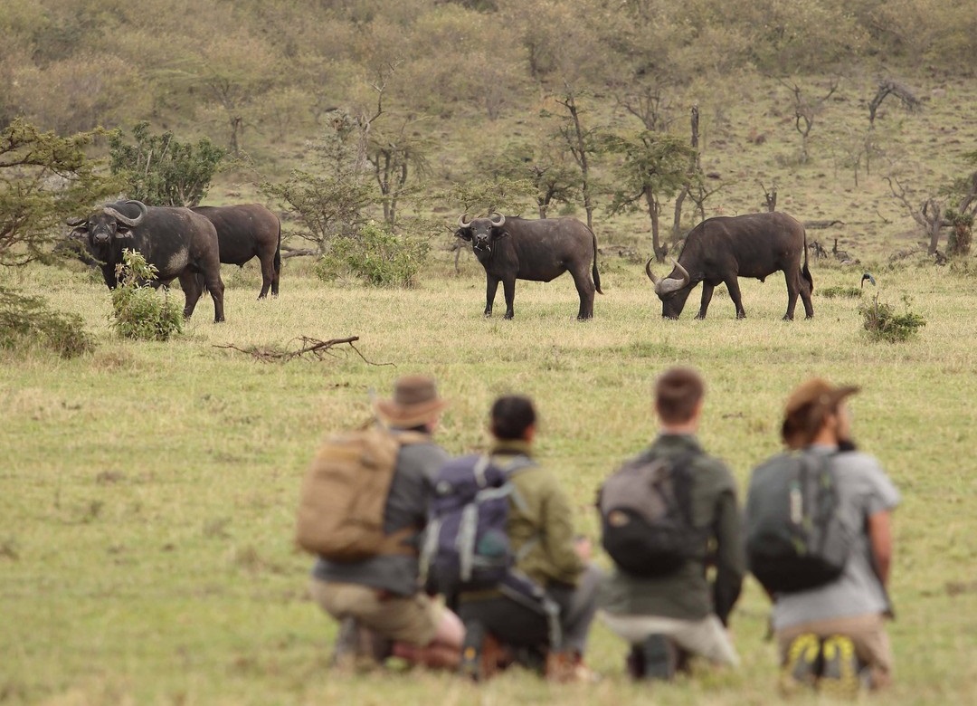 10 Best Countries for Adventure Tourism