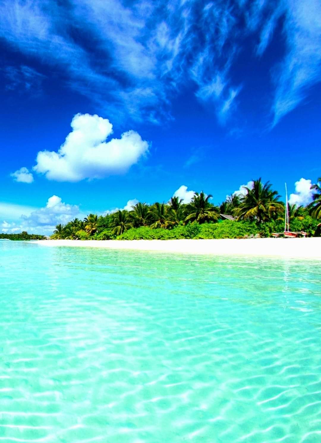 Island Escapes ΓÇô Trending Tropical Paradises