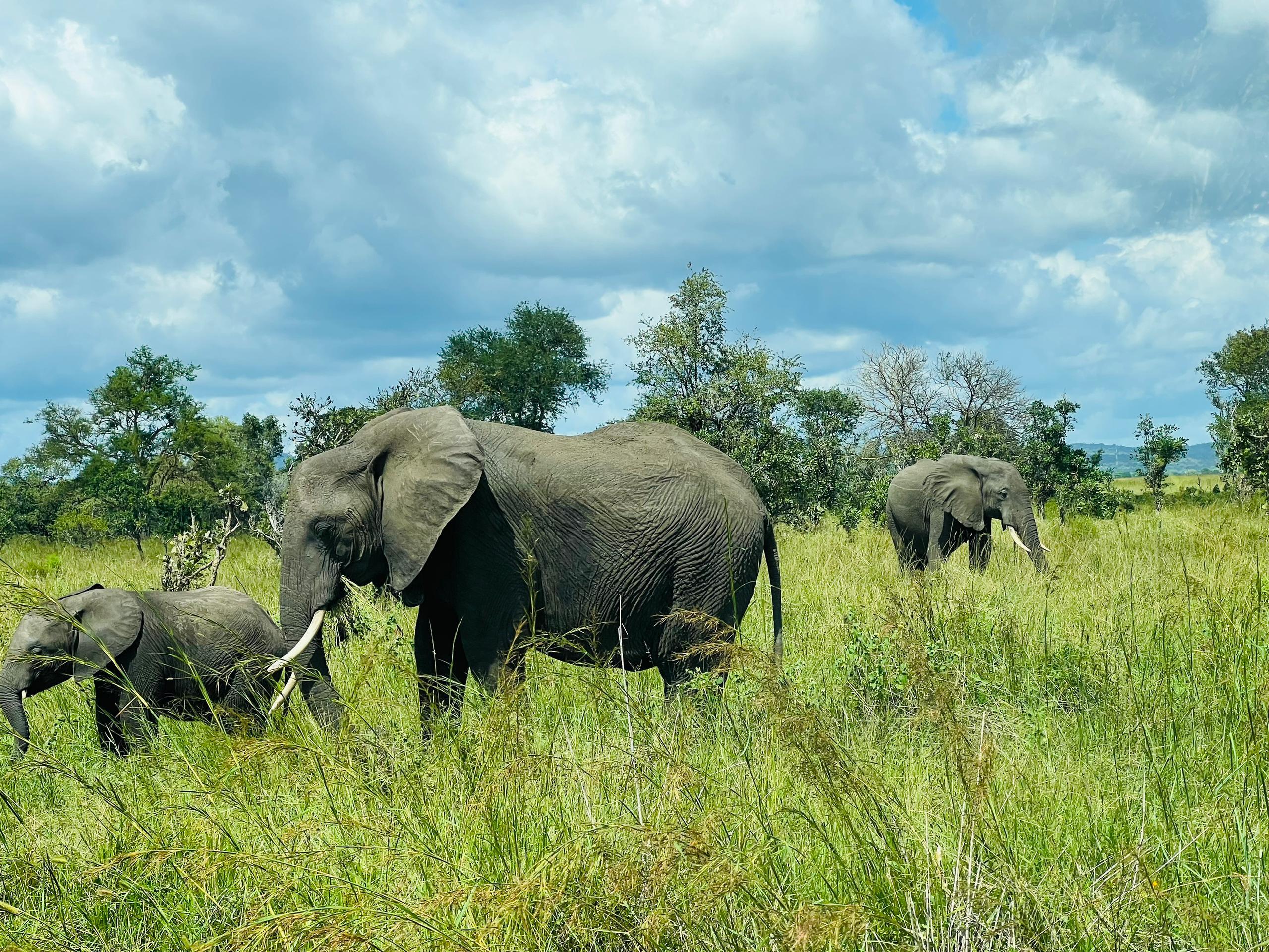Trending National Parks to Visit This Year