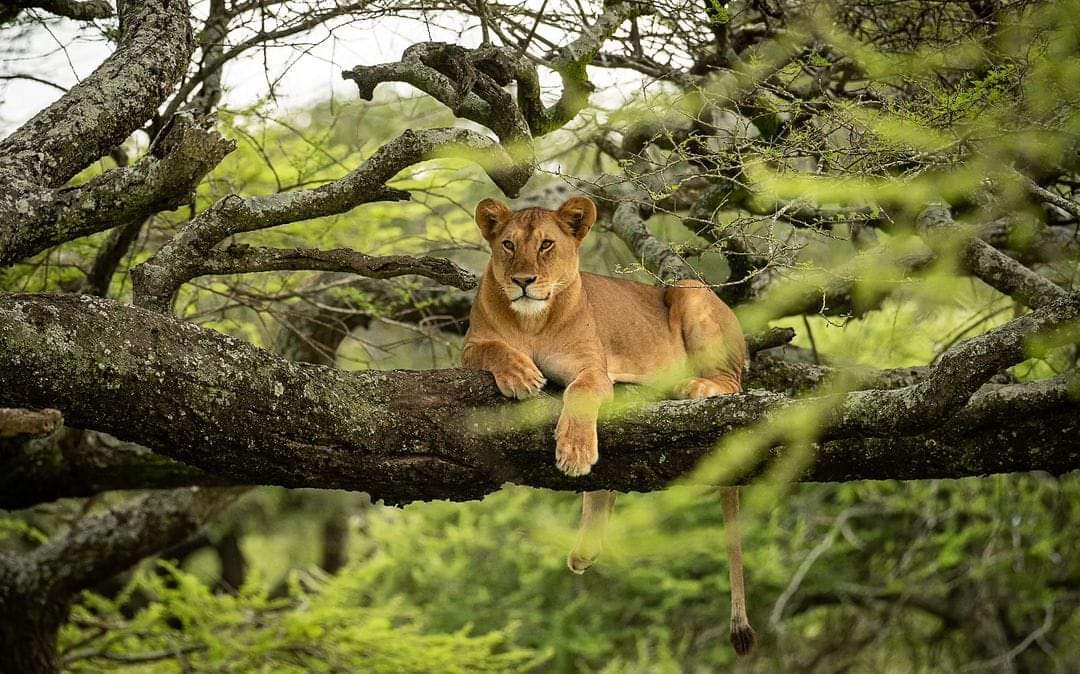 25 Best National Parks in the World for Nature Lovers