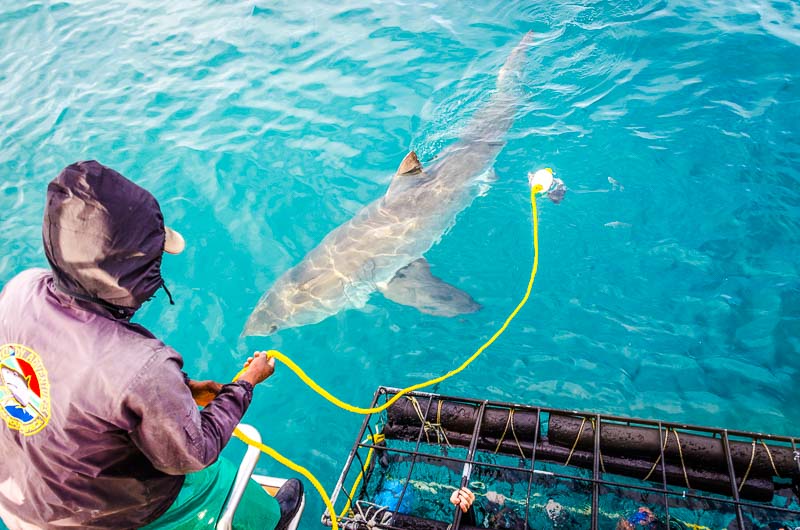 Top 15 Adventure Destinations for Thrill Seekers