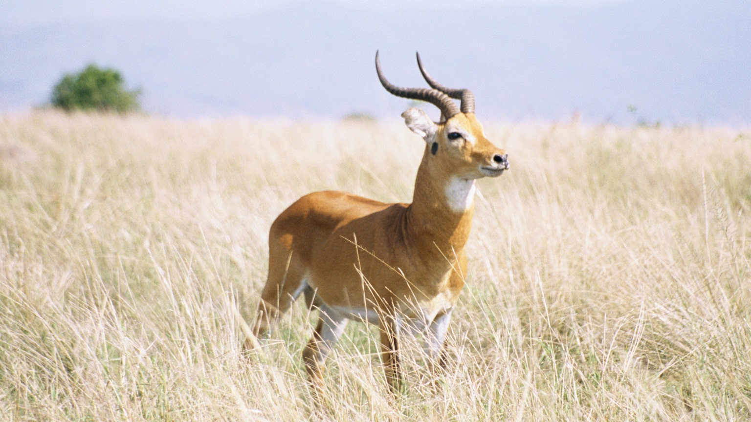Hidden National Parks People Are Searching For ΓÇô Discover the WorldΓÇÖs Most Underrated Nature Destinations