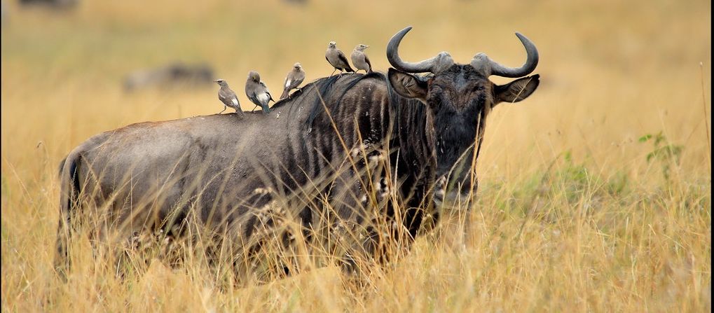 20 Best National Parks for Adventure Travel