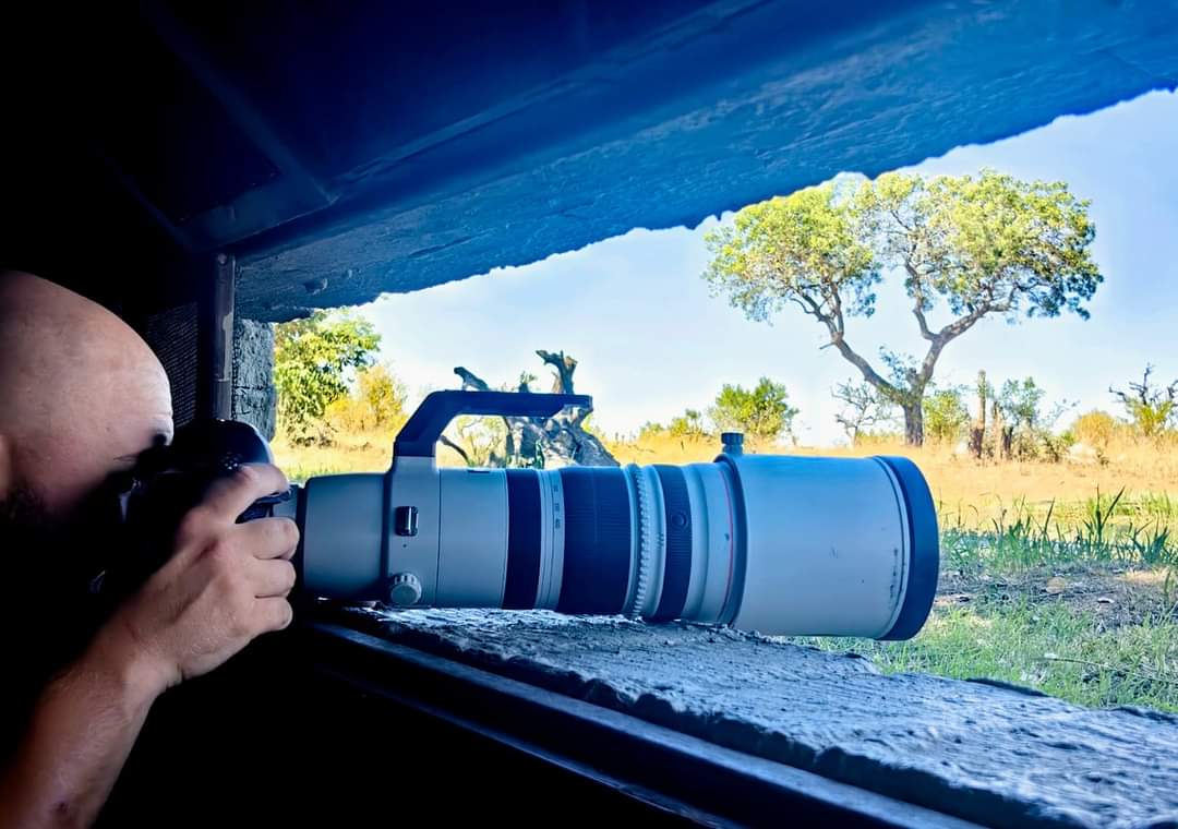 15 Best National Parks for Wildlife Photography