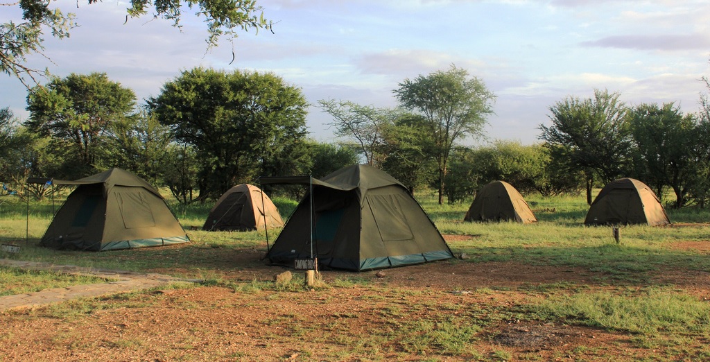 Top 15 Budget Safari Destinations in Africa
