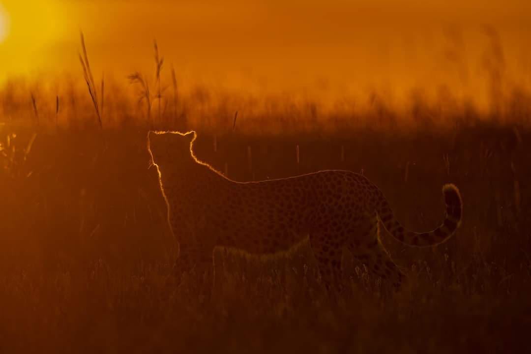 Top 15 Travel Photography Destinations Worldwide