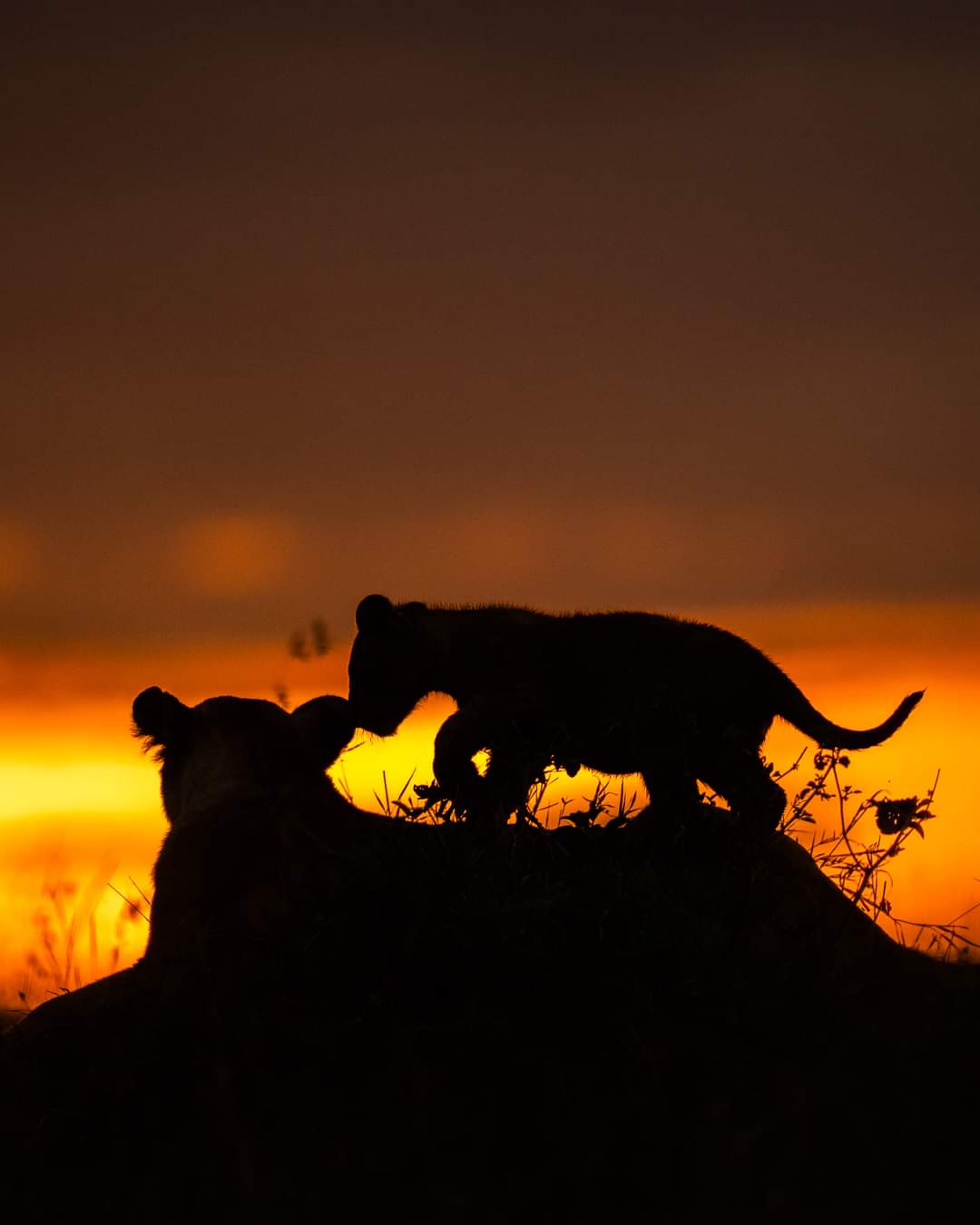 15 Best Sunrise and Sunset Spots Around the World