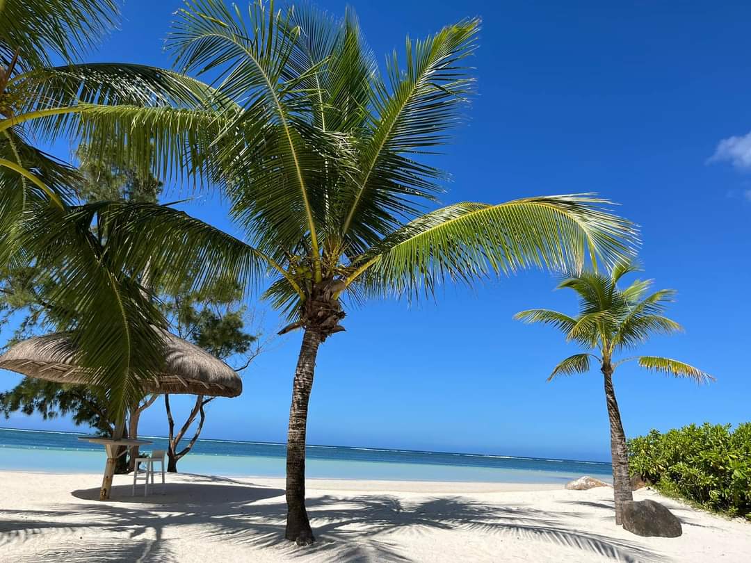 Best Travel Destinations for Families with Kids