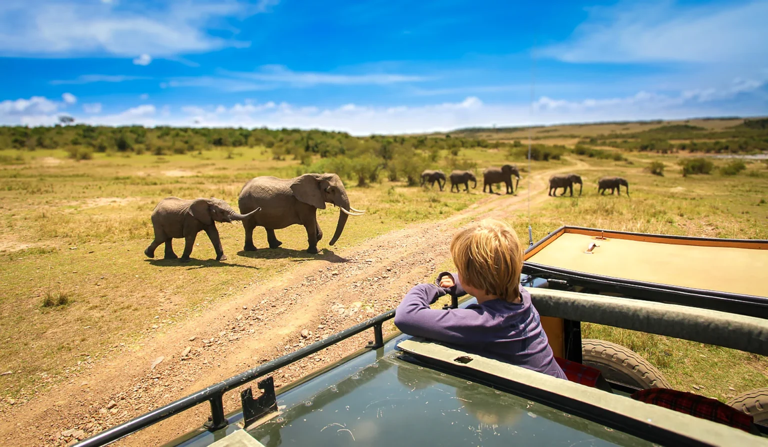 Best Family Safari Experiences in Africa