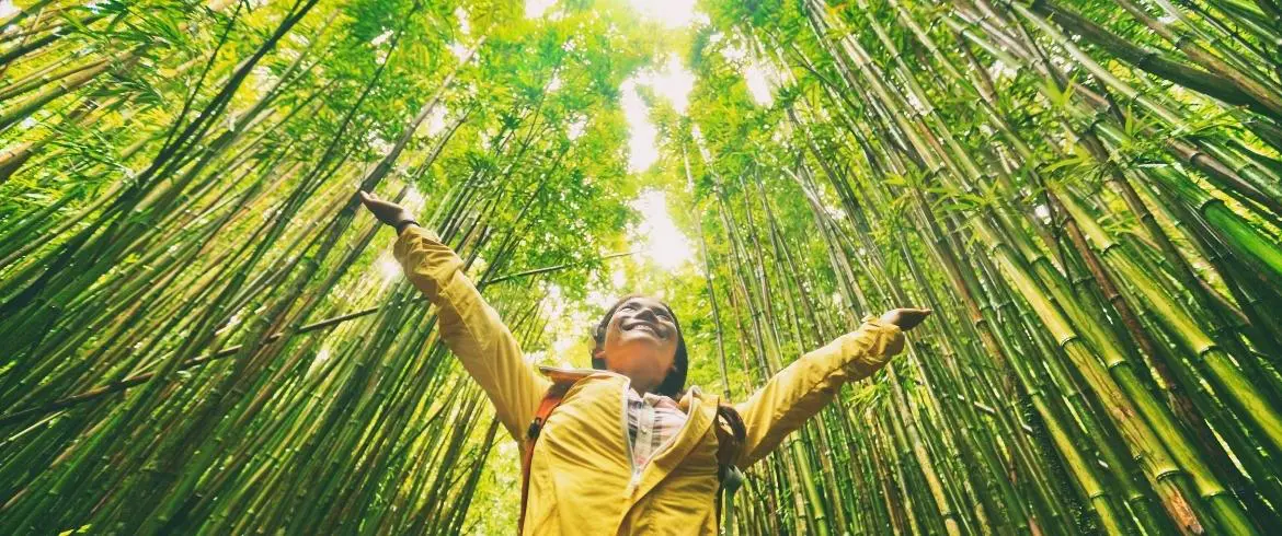 Best Sustainable Travel Practices for Responsible Tourists
