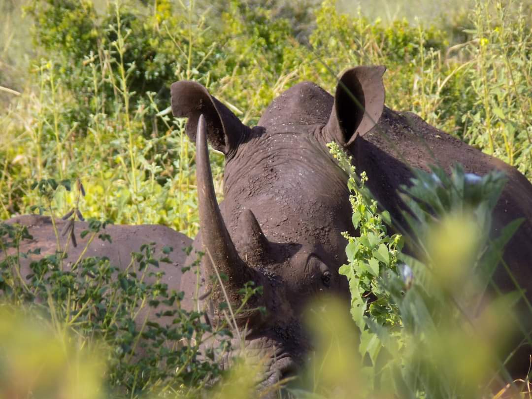 Top 10 Destinations Leading in Sustainable Tourism