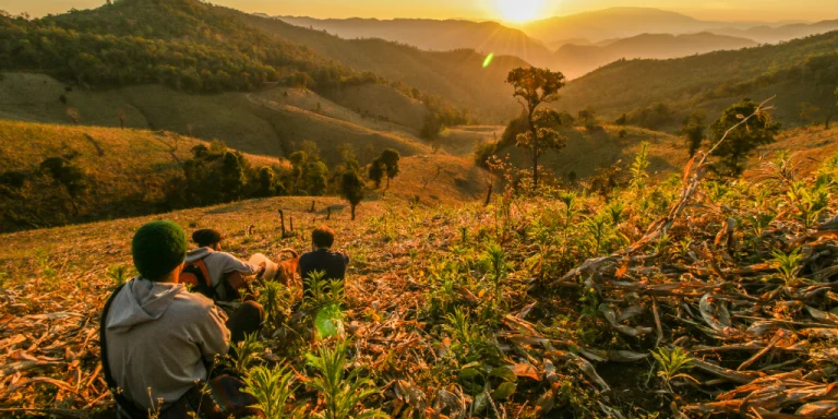Top 15 Nature Conservation Projects Travelers Can Visit