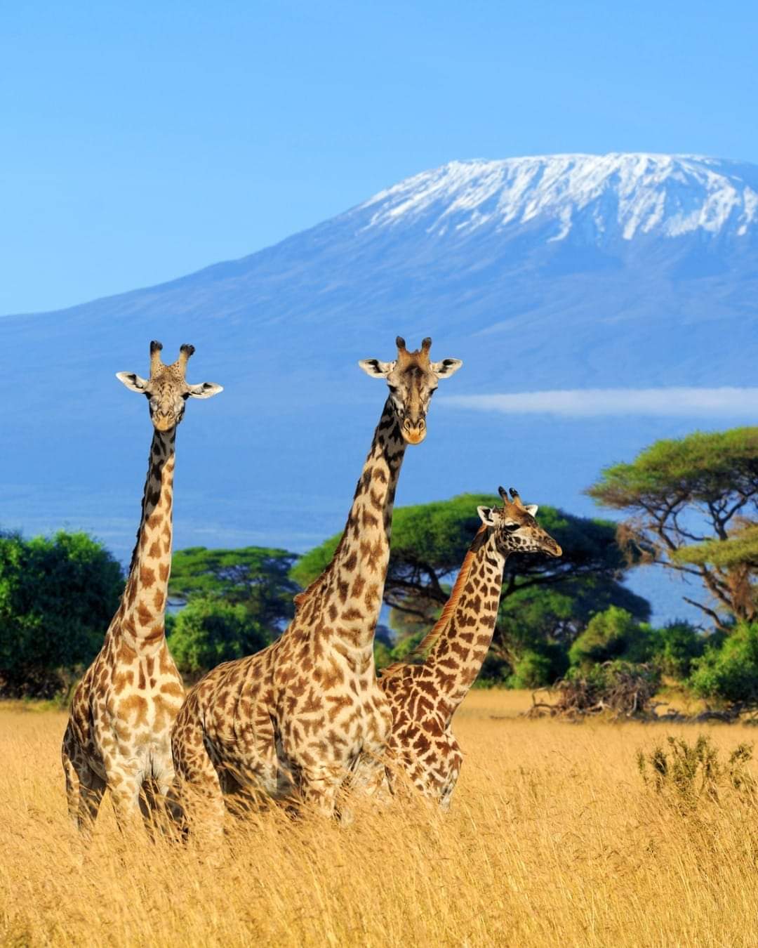 Best Responsible Travel Destinations in Africa