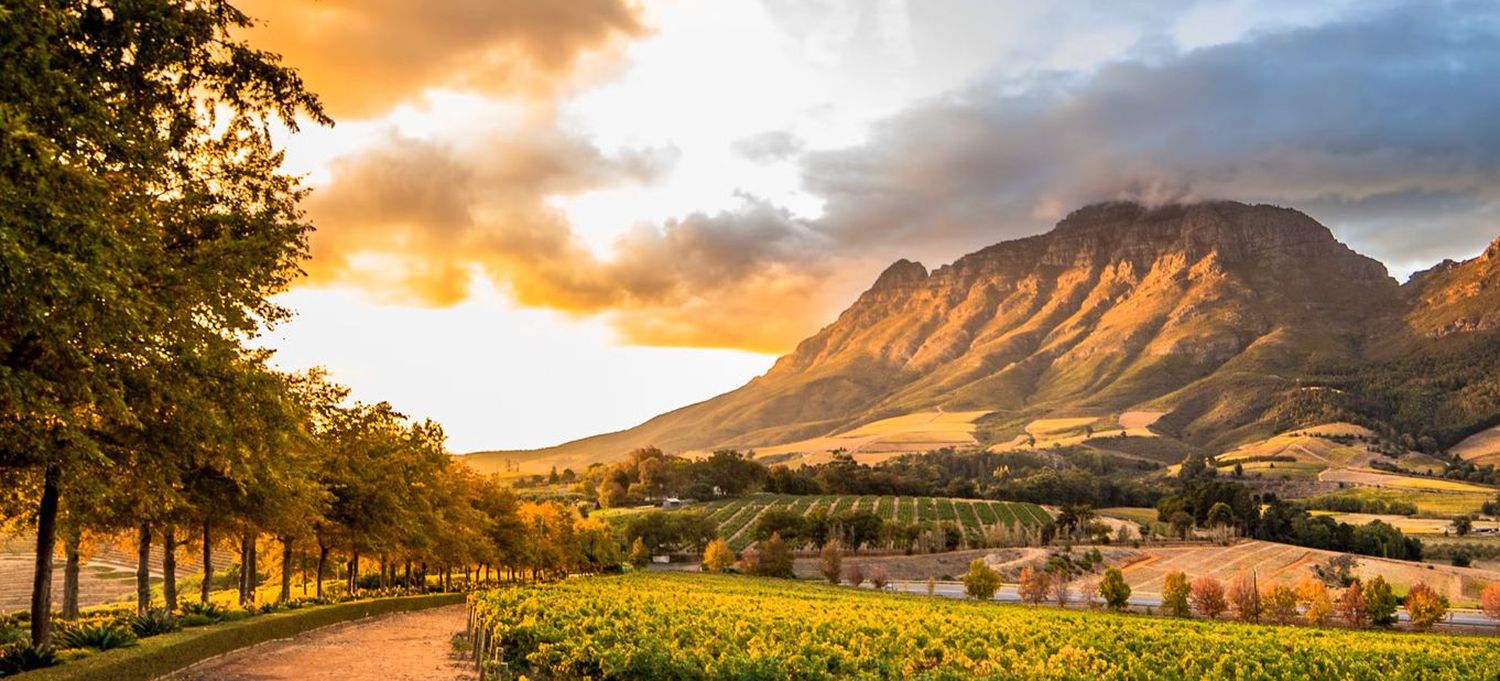 Top 10 Wine Regions Around the World to Visit