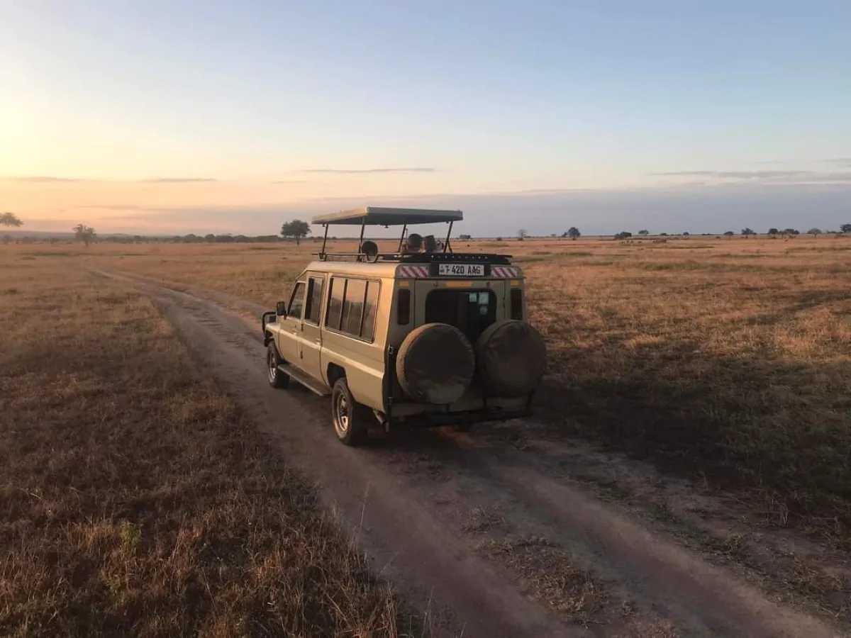 2-Day Fly-in Safari: From Arusha to Serengeti, Tanzania hero photo