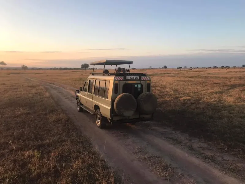 2-Day Fly-in Safari: From Arusha to Serengeti, Tanzania
