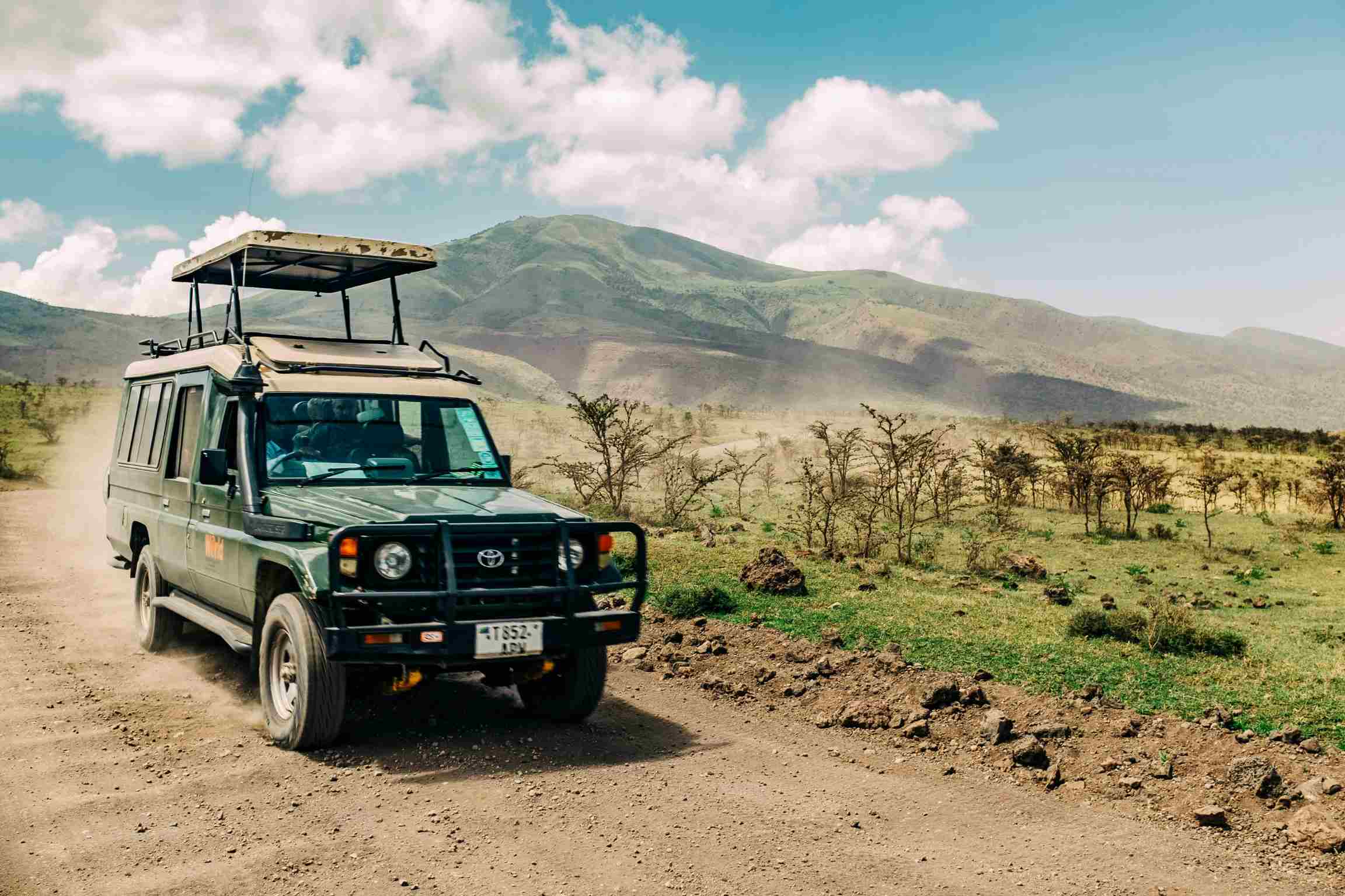 Day 2 · Full-Day Game Drive in Central Serengeti