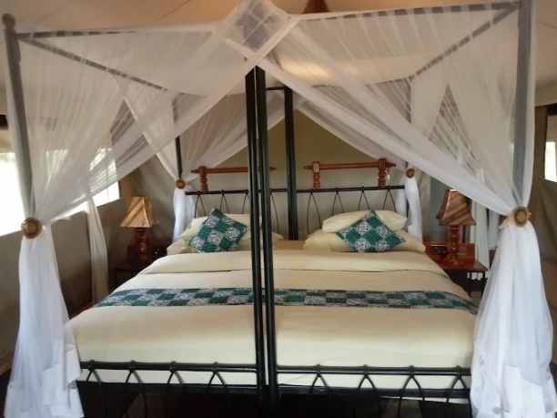 SILVER · Tarangire Tortilis Camp