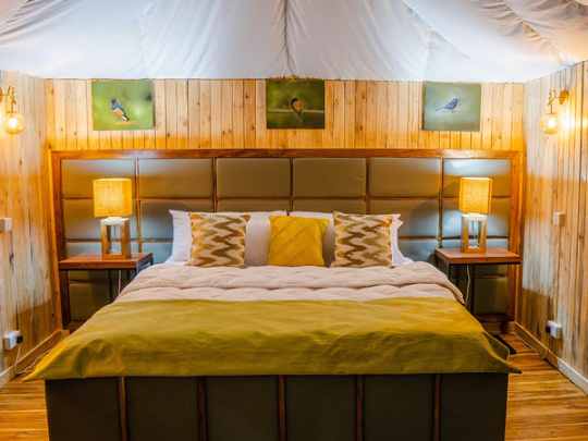 GOLD · Angata Tarangire Camp