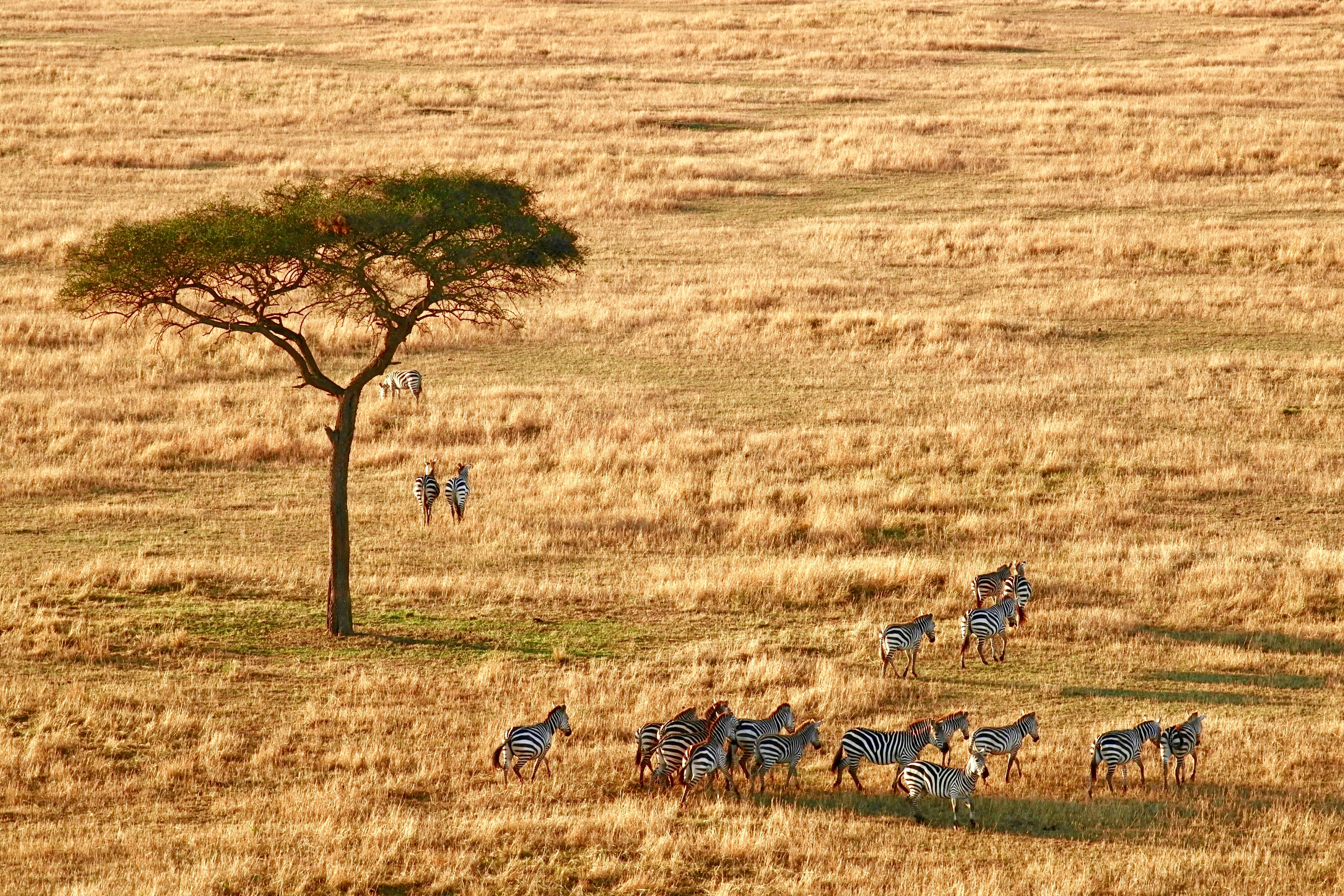 Day 4 · Ngorongoro Crater and Return to Arusha