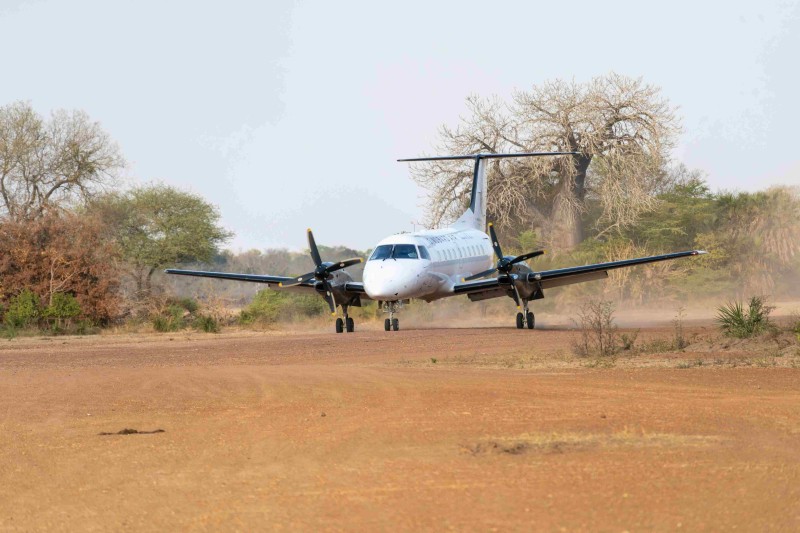 Kilimanjaro Tours