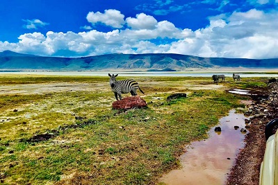 Ngorongoro Crater Safaris - Afro-Vertex Tours & Safaris