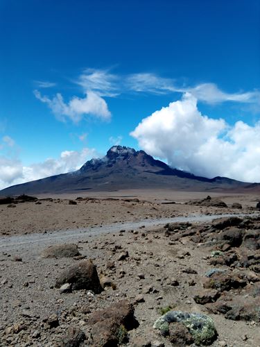 5 Days Umbwe Route Kilimanjaro Climbing, Hiking, Trekking Package