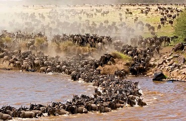 7 Days Africa Mid-range Safari Tanzania | Serengeti Migration