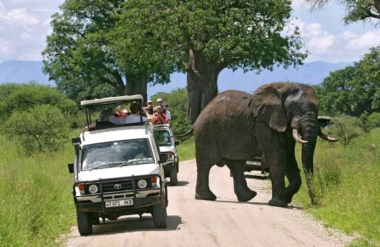 Tanzania Group Joining Mid-range Safaris in Africa