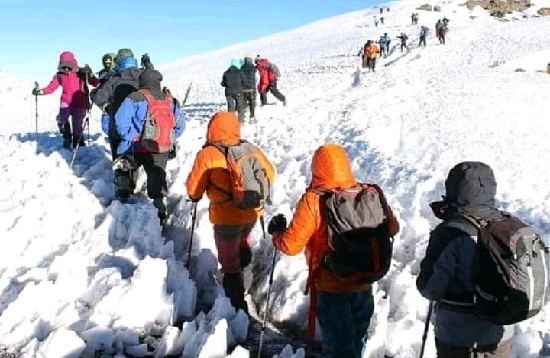 Kilimanjaro Group Joining hiking via Marangu Route Packages