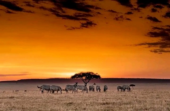 6 Days African Mid-range Safaris