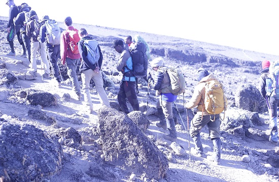 Kilimanjaro Group Joining hiking via Lemosho Route Packages