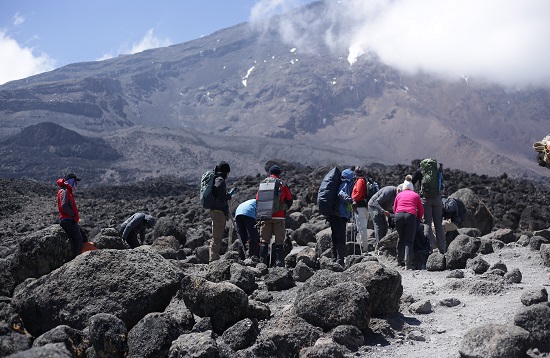 Kilimanjaro Luxury hiking via Lemosho Route Packages