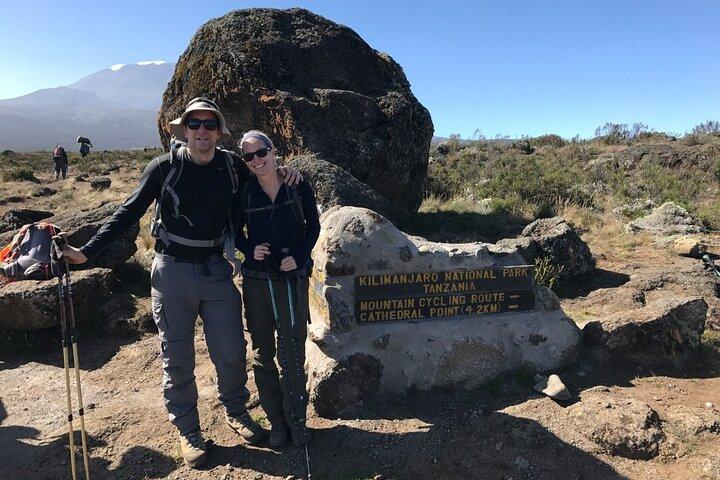 Last Minute Kilimanjaro Day Hike Trips from Moshi and Arusha