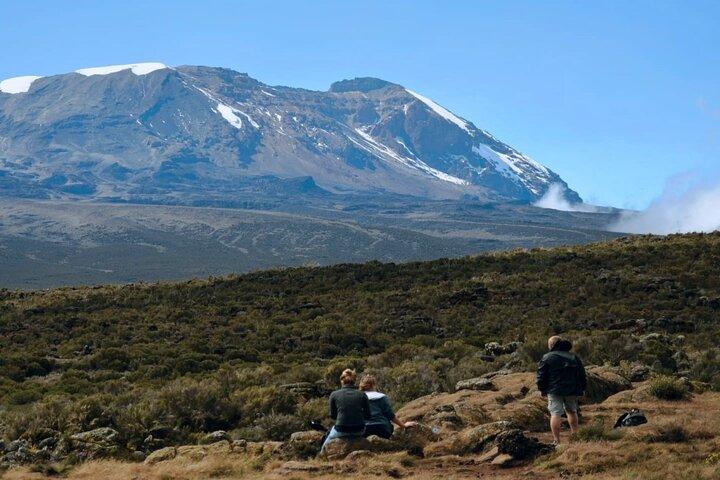 Best Kilimanjaro Day Hike Trips from Arusha