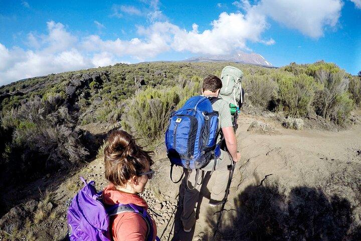 Best Kilimanjaro Day Hike Trips from Moshi