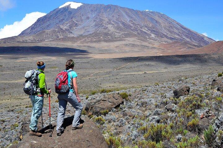 Best Price for Kilimanjaro Day Hike Trips from Arusha and Moshi