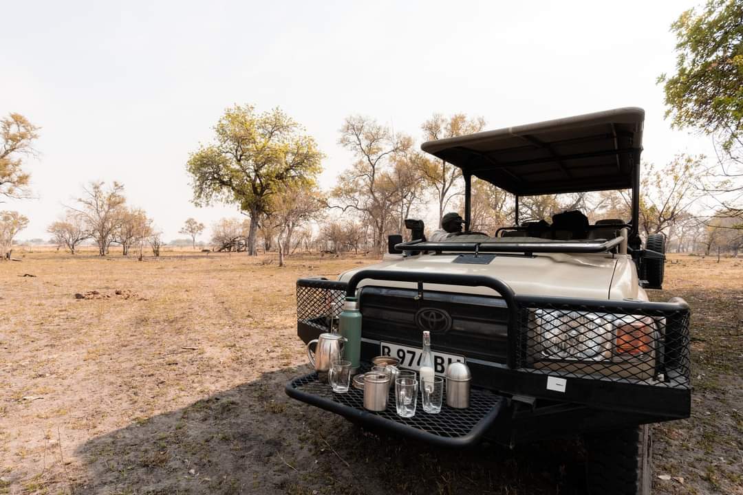 Luxury Lodge Tanzania Safari 2026