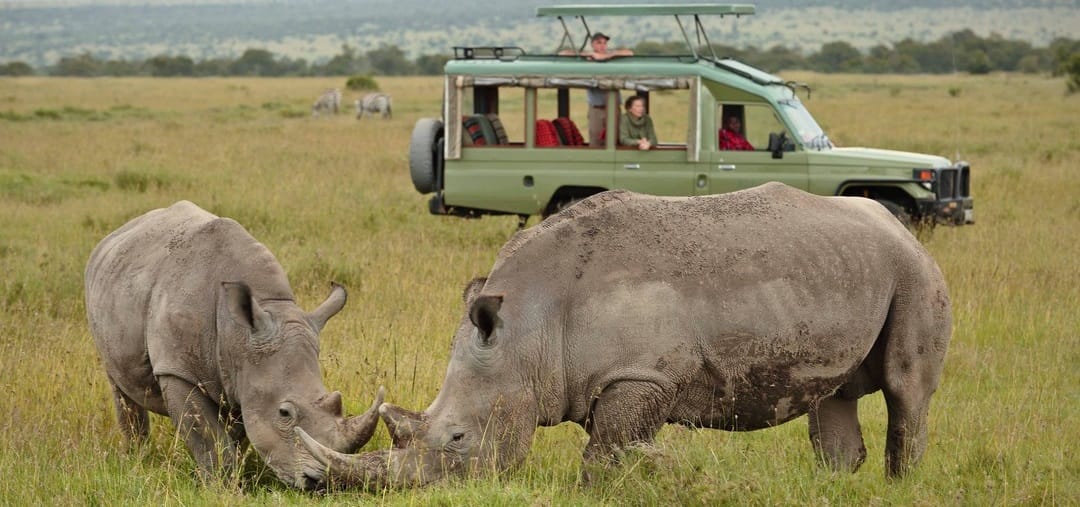 The Ultimate Tanzania Safari Packages (Tours) for 2026