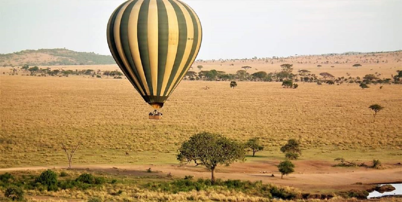 The Ultimate Tanzania Safari Tours & Packages from Arusha for 2026