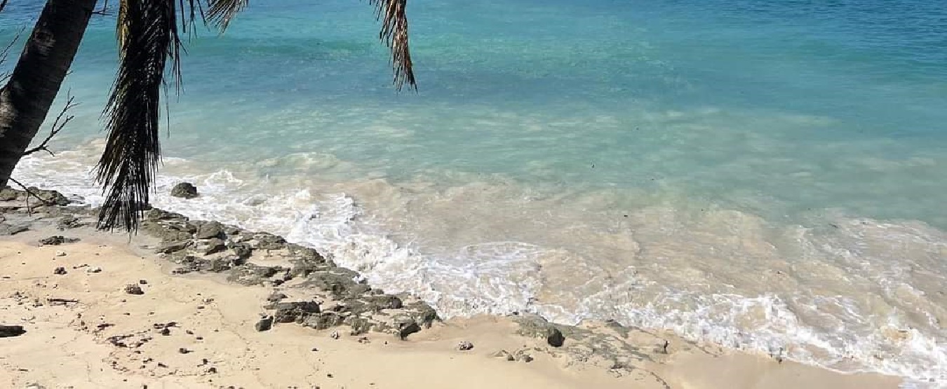 The Ultimate Tanzania Safari Tours & Packages from Zanzibar for 2026