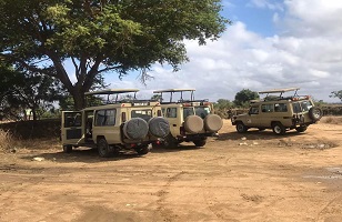 4 Days Serengeti - Ngorongoro: Tanzania Safari for 2026