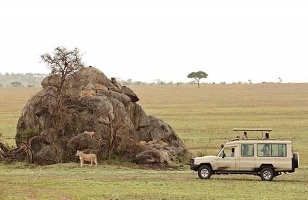 5 Days Tarangire, Serengeti, Ngorongoro - Lake Manyara: Tanzania Safari for 2026