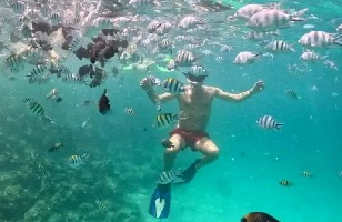 Snorkeling Trips